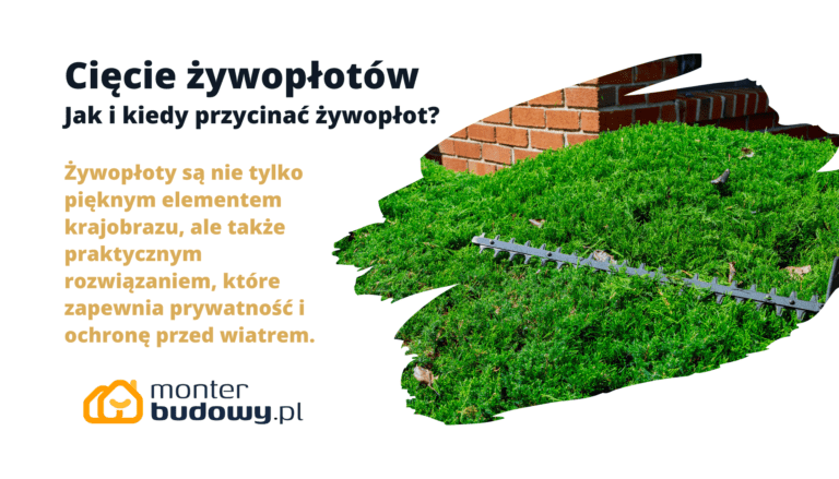 Cięcie żywopłotów Jak i kiedy przycinać żywopłot