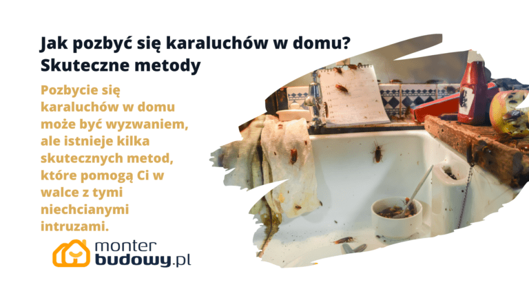 Jak pozbyć się karaluchów w domu