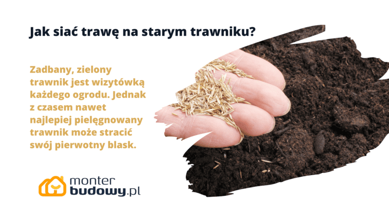 Jak siać trawę na starym trawniku