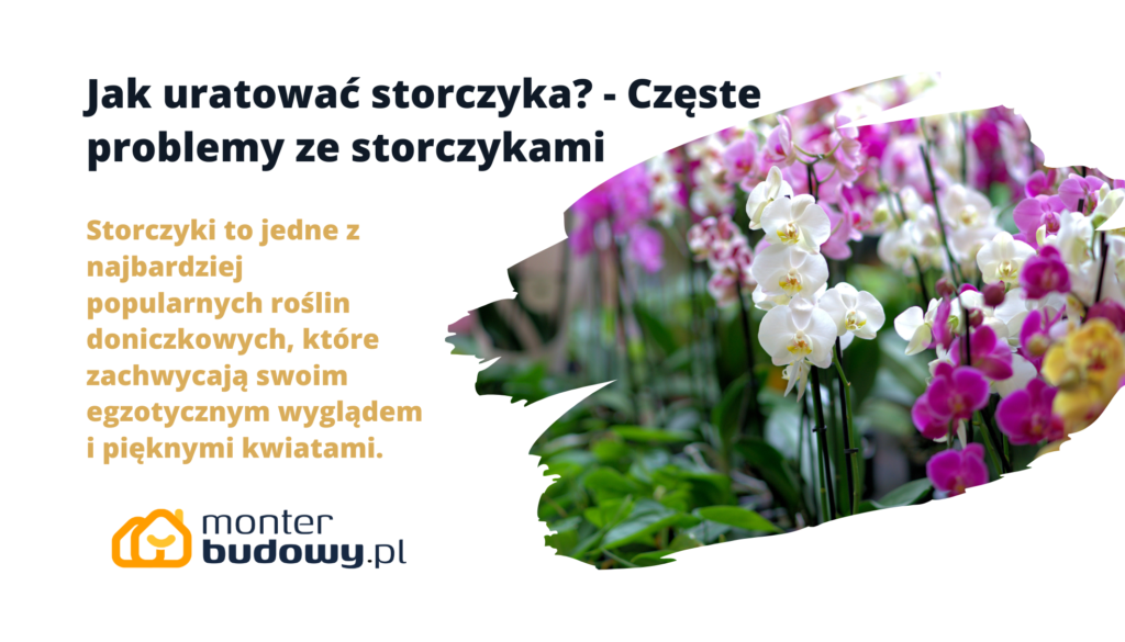 Jak uratować storczyka