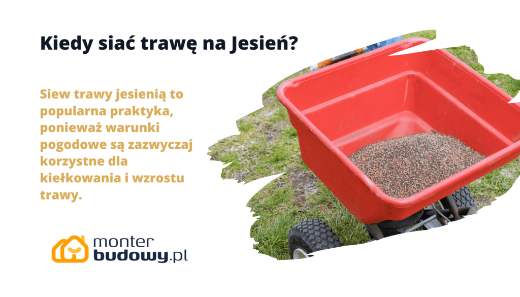 Kiedy siać trawę na Jesień