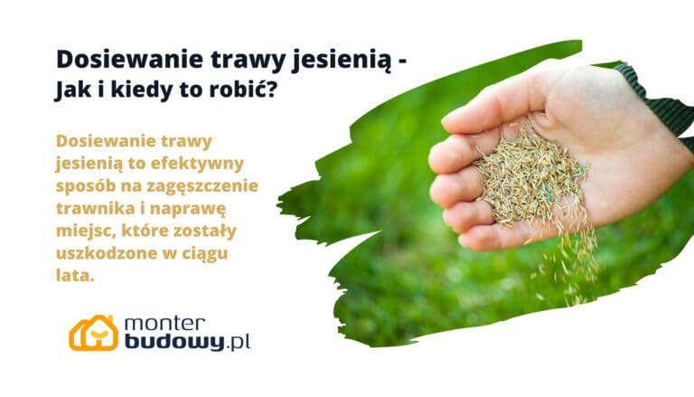 Dosiewanie trawy jesienią - Jak i kiedy to robić
