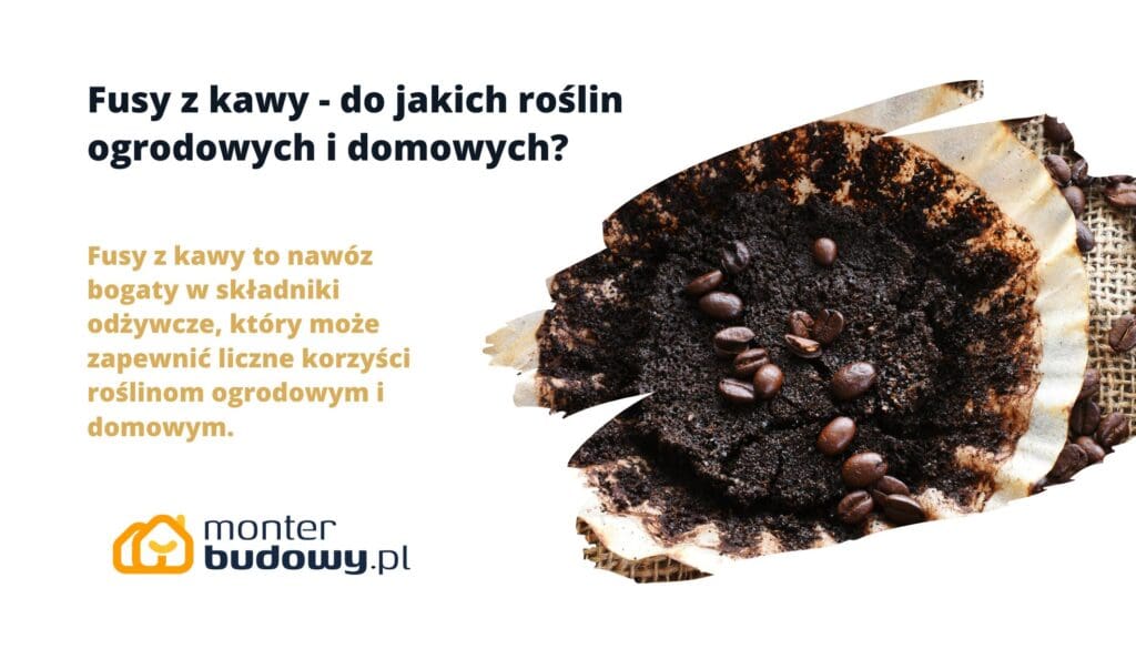 Fusy z kawy - do jakich roślin ogrodowych i domowych