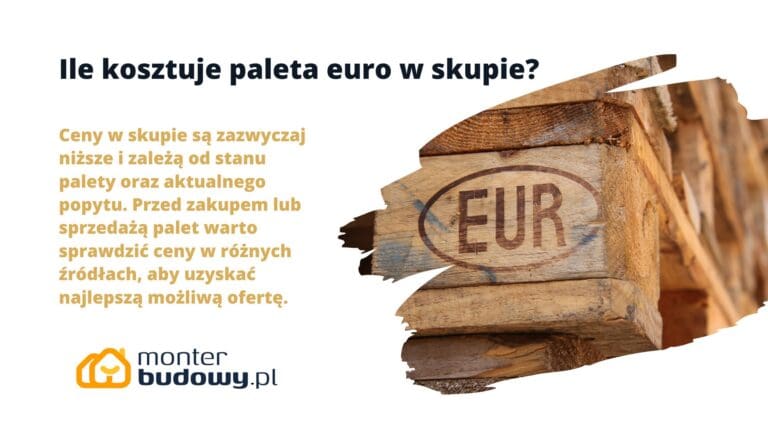 Ile kosztuje paleta euro w skupie