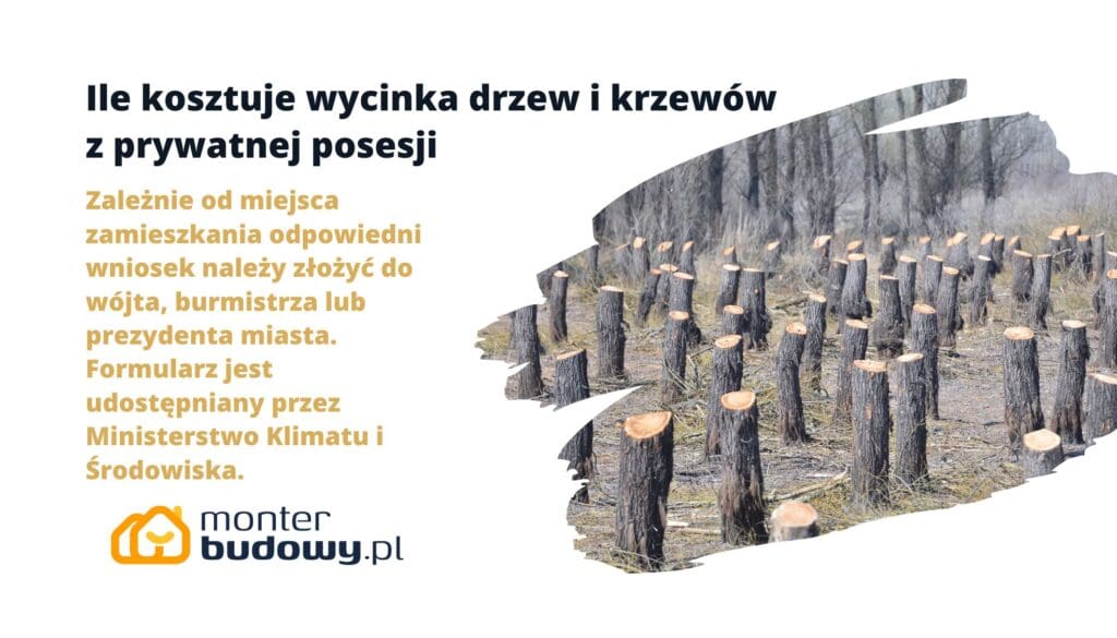 Ile kosztuje wycinka drzew i krzewów z prywatnej posesji