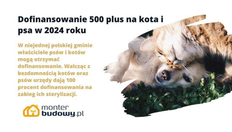 Dofinansowanie 500 plus na kota i psa w 2024 roku