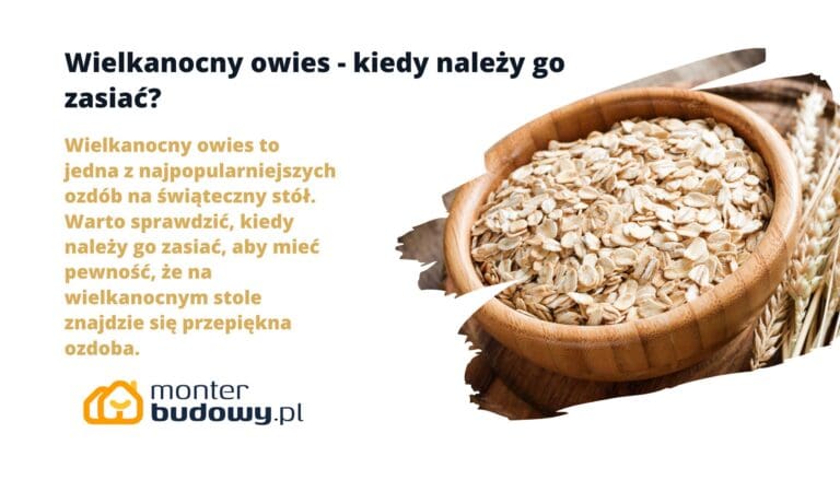 Wielkanocny owies